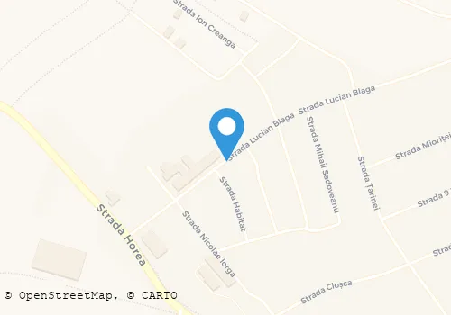 Hartă