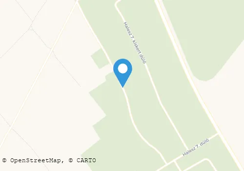 Térkép