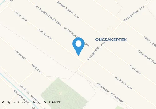 Térkép