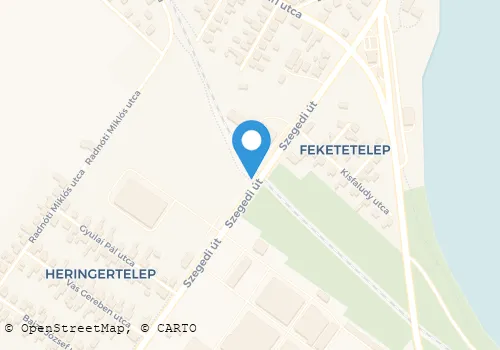 Térkép
