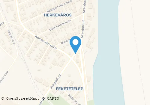 Térkép