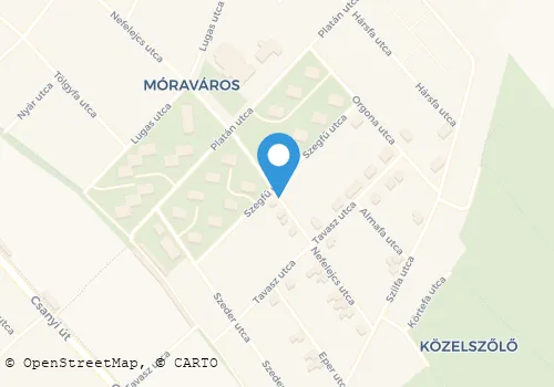 Térkép