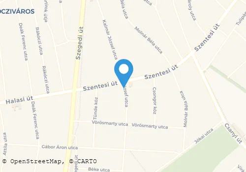Térkép