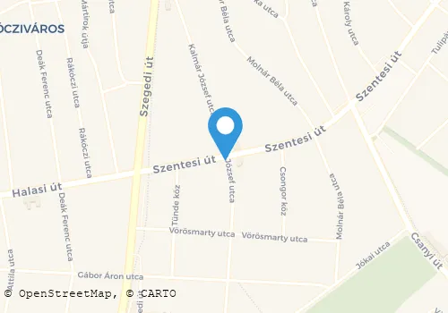 Térkép