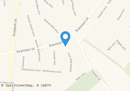 Térkép