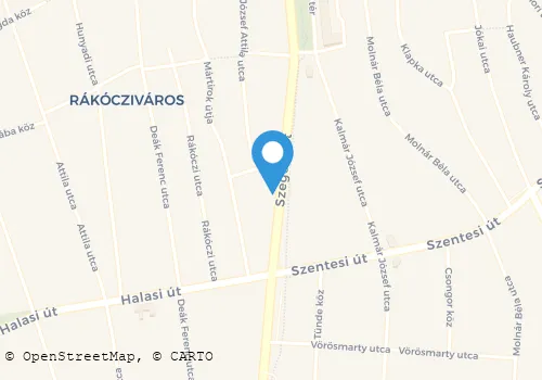 Térkép