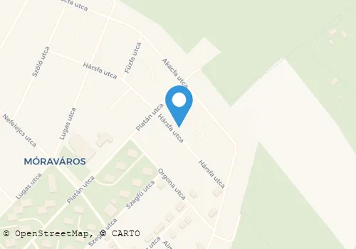 Térkép