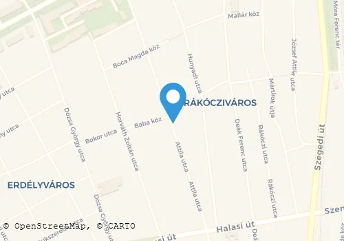 Térkép