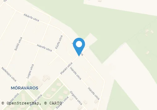 Térkép