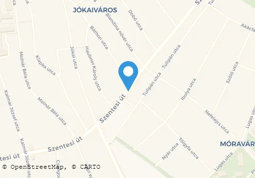 Térkép