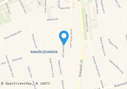 Térkép