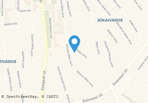Térkép