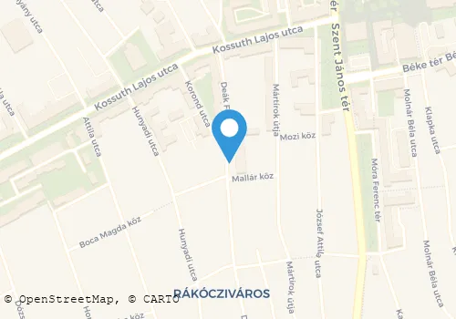 Térkép