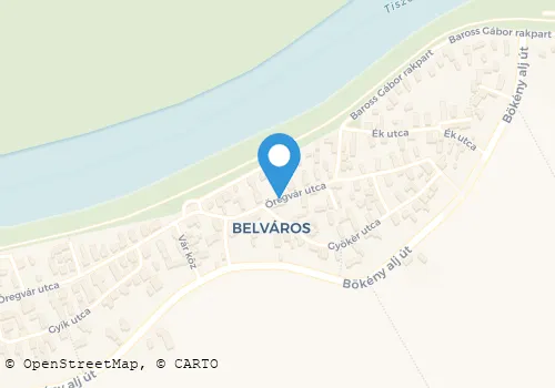 Térkép