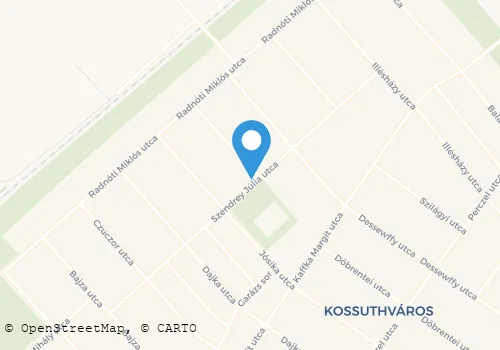 Térkép