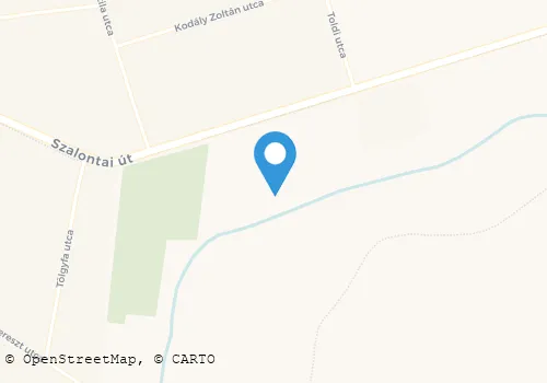Térkép