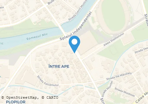 Hartă