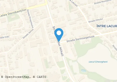 Hartă