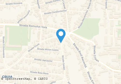 Hartă