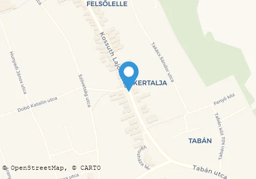 Térkép