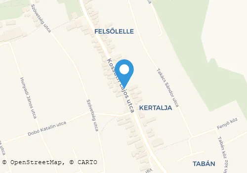 Térkép
