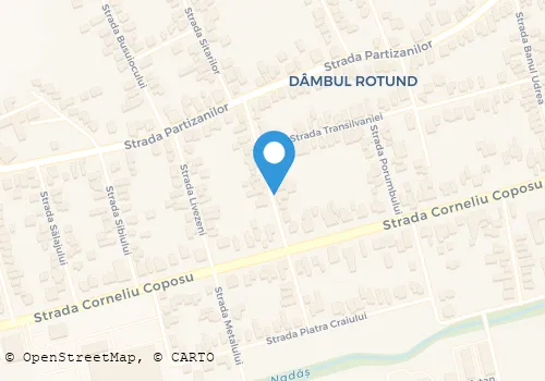 Hartă