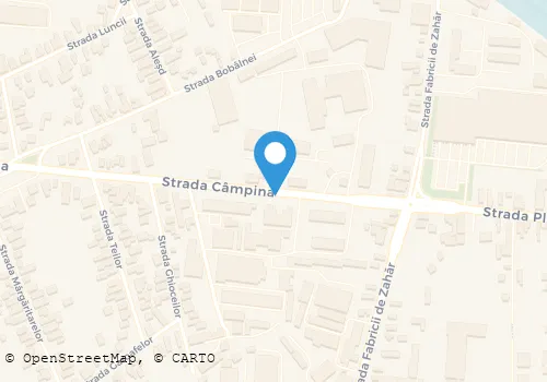 Hartă