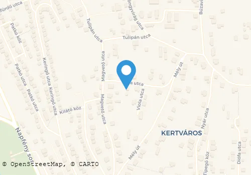 Térkép