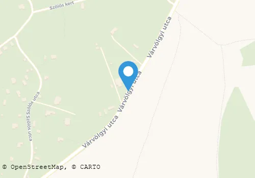 Térkép