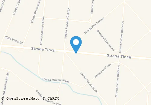 Hartă