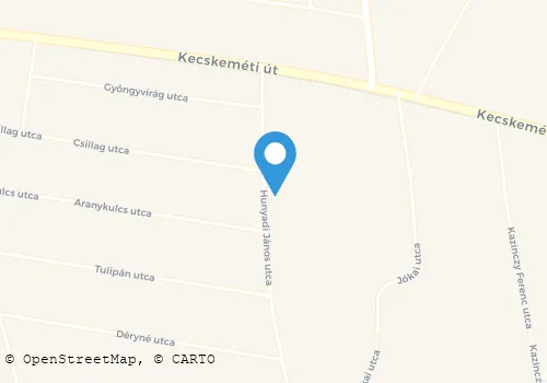 Térkép