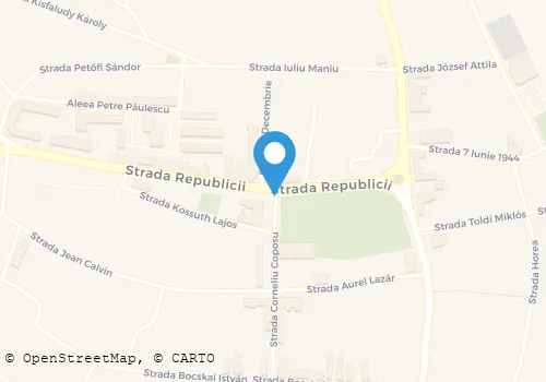 Hartă