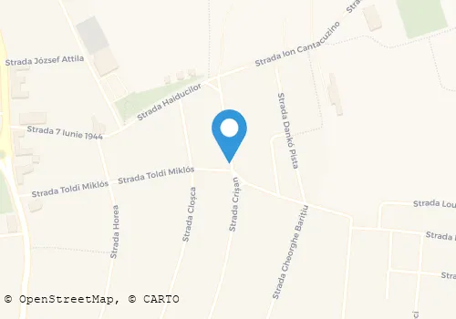 Hartă