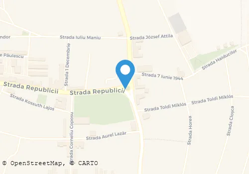 Hartă