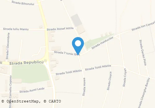 Hartă