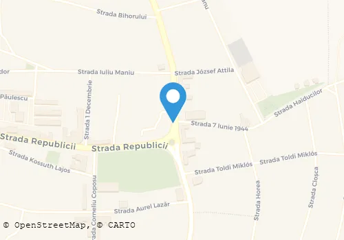 Hartă