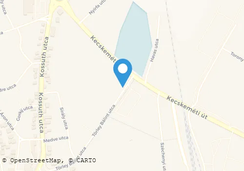 Térkép