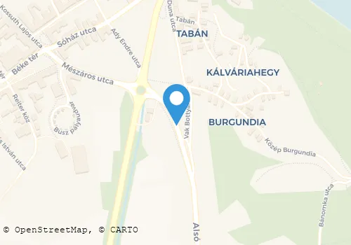 Térkép