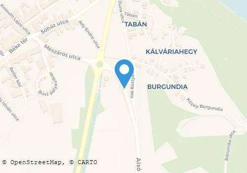 Térkép