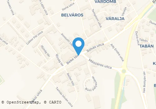 Térkép