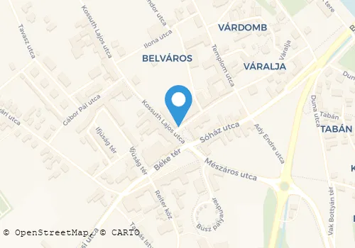 Térkép