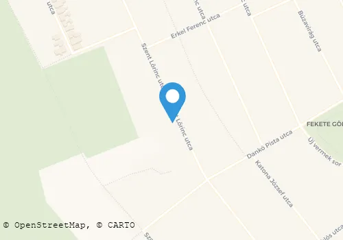 Térkép