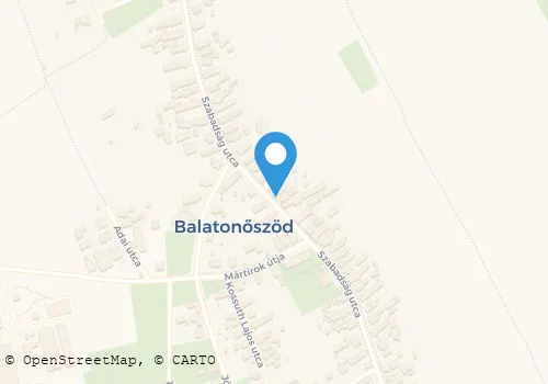 Térkép