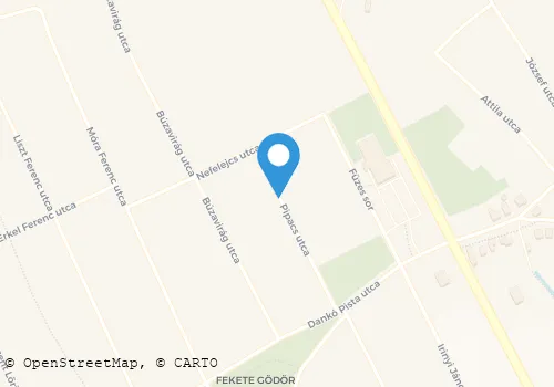 Térkép