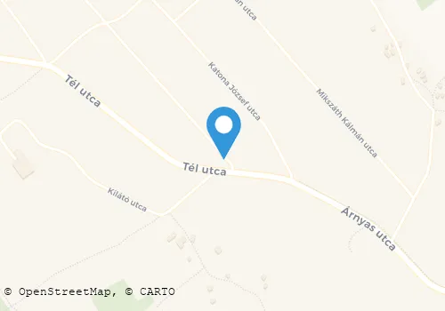 Térkép