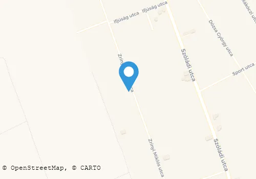 Térkép