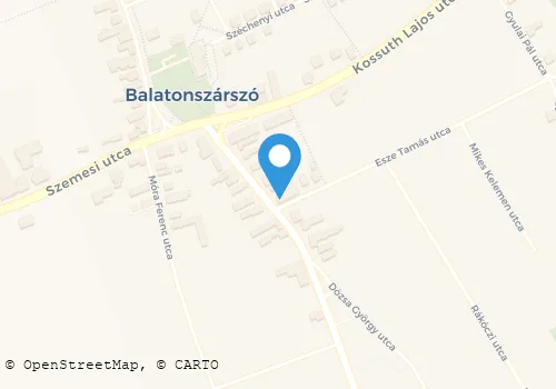 Térkép