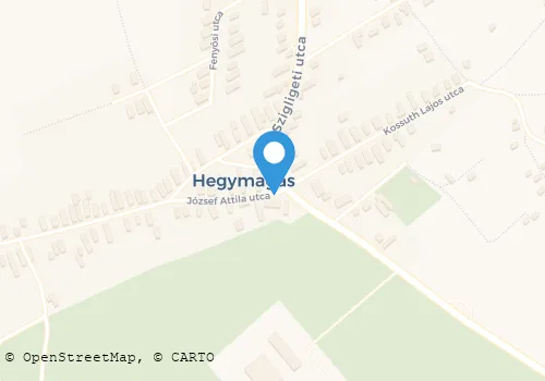 Térkép