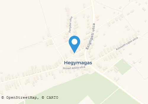 Térkép