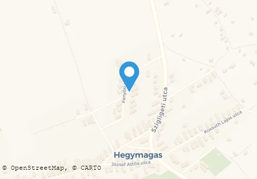 Térkép